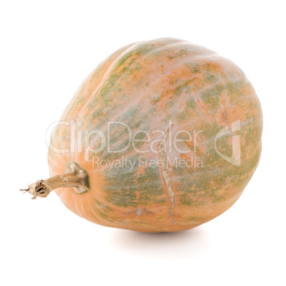 Calabash pumpkin