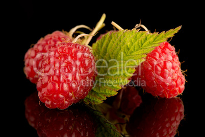 Fresh raspberries