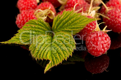 Fresh raspberries