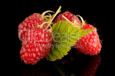 Fresh raspberries