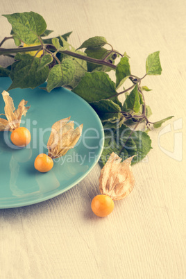 Physalis fruits