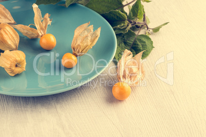 Physalis fruits