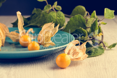 Physalis fruits