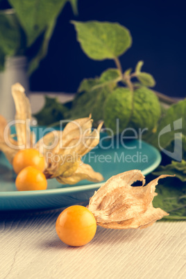 Physalis fruits