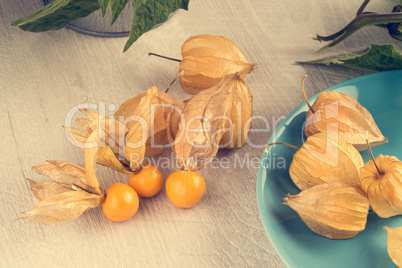 Physalis fruits