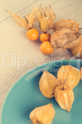 Physalis fruits