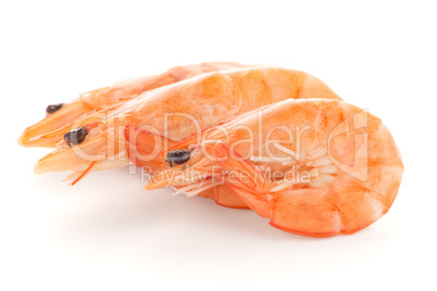 Three shrimps