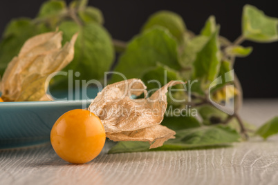 Physalis fruits