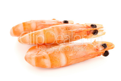 Three shrimps