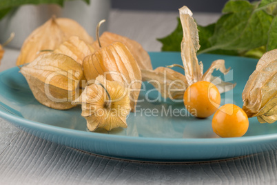 Physalis fruits