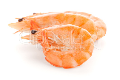 Three shrimps