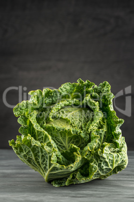 Savoy cabbage