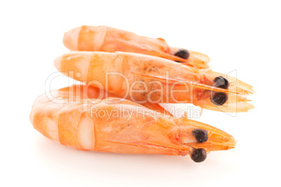 Three shrimps