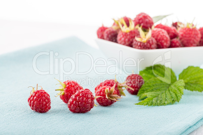 Fresh raspberry