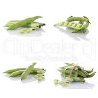 Set of green beans
