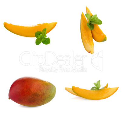 Set of mango fruit