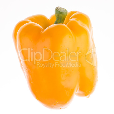 Sweet yellow pepper