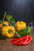 Colored bell peppers