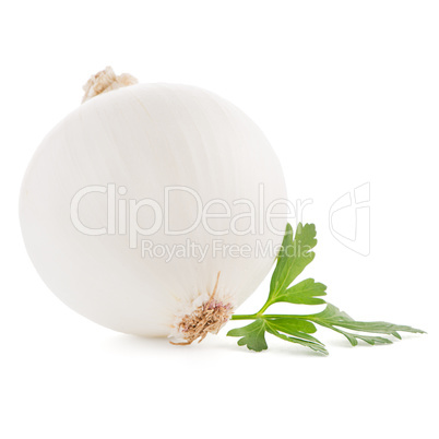 Onion and parsley