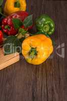 Colored bell peppers