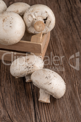 Champignons in a wooden box