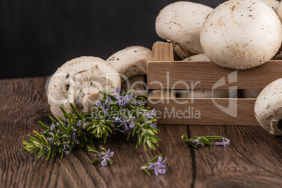 Champignons in a wooden box