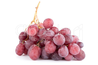 Bunch of red grapes