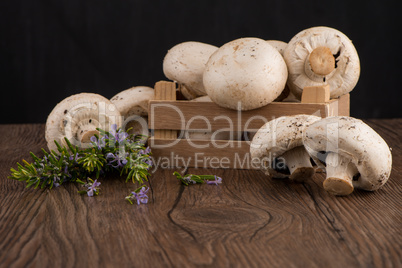 Champignons in a wooden box