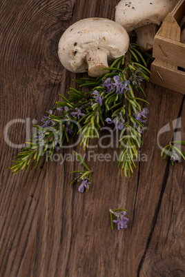 Champignons in a wooden box