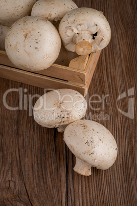 Champignons in a wooden box