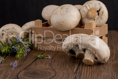 Champignons in a wooden box