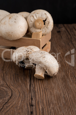 Champignons in a wooden box