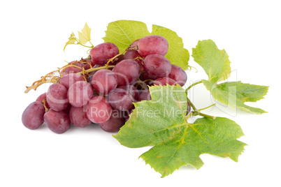 Bunch of red grapes