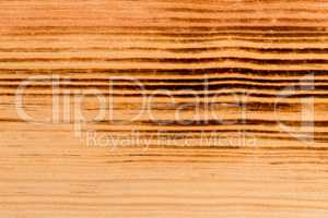 Burned pine wood background