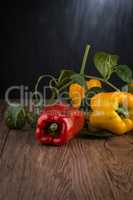 Colored bell peppers