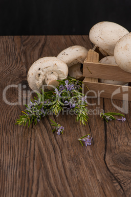 Champignons in a wooden box