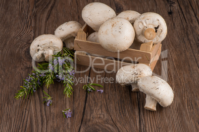 Champignons in a wooden box