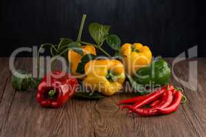 Colored bell peppers