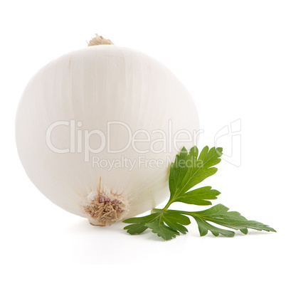 Onion and parsley