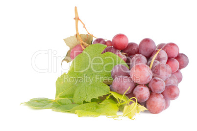 Bunch of red grapes