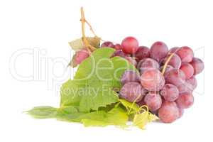 Bunch of red grapes