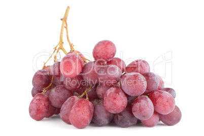 Bunch of red grapes