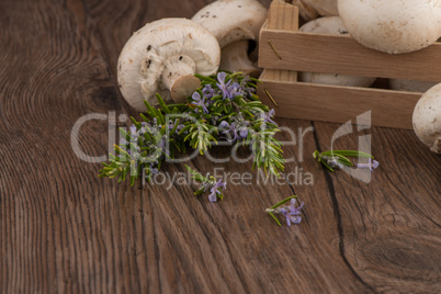 Champignons in a wooden box