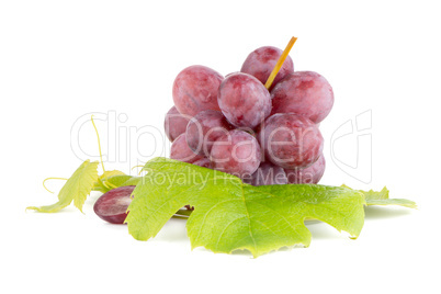 Bunch of red grapes Bunch of red grapes