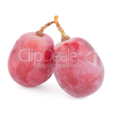 Red grape