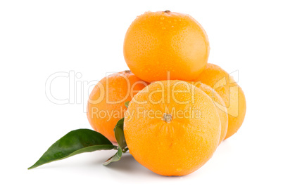 Ripe tangerine or mandarin