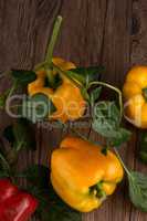 Colored bell peppers