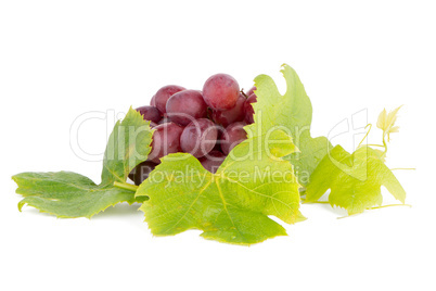 Bunch of red grapes