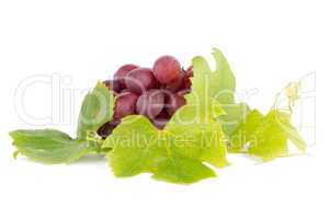 Bunch of red grapes