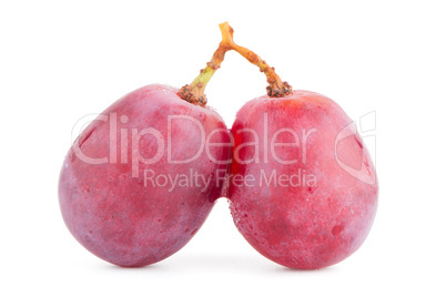 Red grape